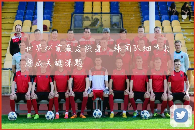 世界杯前最后热身，韩国队细节打磨成关键课题