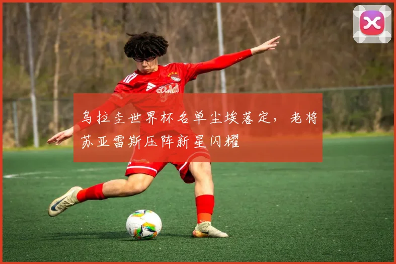 乌拉圭世界杯名单尘埃落定，老将苏亚雷斯压阵新星闪耀